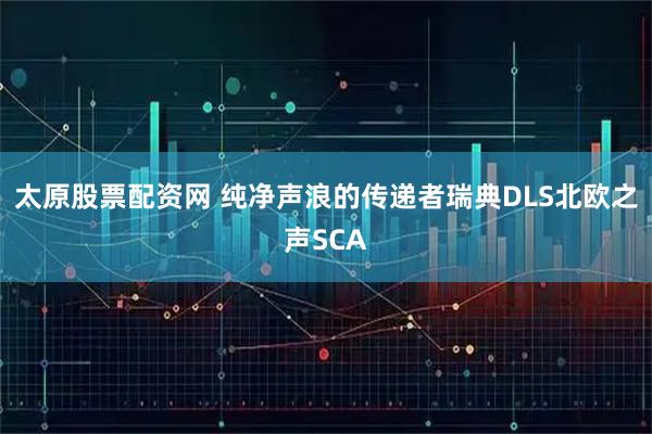 太原股票配资网 纯净声浪的传递者瑞典DLS北欧之声SCA